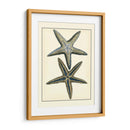 Estrella Azul Antigua I - Vision Studio | Cuadro decorativo de Canvas Lab