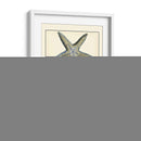 Estrella Azul Antigua I - Vision Studio | Cuadro decorativo de Canvas Lab
