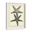Estrella Azul Antigua I - Vision Studio | Cuadro decorativo de Canvas Lab