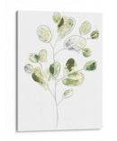 Mar Greens I - June Erica Vess | Cuadro decorativo de Canvas Lab