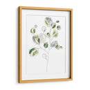 Sea Greens Ii - June Erica Vess | Cuadro decorativo de Canvas Lab