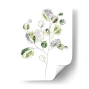 Sea Greens Ii - June Erica Vess | Cuadro decorativo de Canvas Lab