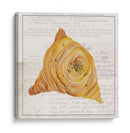 Pasteles De Dientes Dulces Ii - Melissa Wang | Cuadro decorativo de Canvas Lab