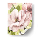 Blush Magnolia Ii - Grace Popp | Cuadro decorativo de Canvas Lab