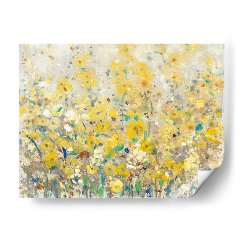 Jardín Alegre I - Tim OToole | Cuadro decorativo de Canvas Lab