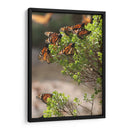 Mariposas monarca - Luis Rodrigo Magaña Andrade | Cuadro decorativo de Canvas Lab