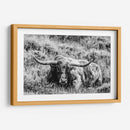 B Y W Longhorn Iii - Tyler Stockton | Cuadro decorativo de Canvas Lab