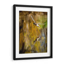 Vuelo Mallard Ii - Tyler Stockton | Cuadro decorativo de Canvas Lab