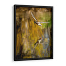 Vuelo Mallard Ii - Tyler Stockton | Cuadro decorativo de Canvas Lab
