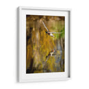 Vuelo Mallard Ii - Tyler Stockton | Cuadro decorativo de Canvas Lab