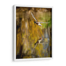 Vuelo Mallard Ii - Tyler Stockton | Cuadro decorativo de Canvas Lab