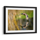 Vuelo Mallard Iii - Tyler Stockton | Cuadro decorativo de Canvas Lab