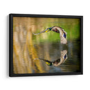 Vuelo Mallard Iii - Tyler Stockton | Cuadro decorativo de Canvas Lab