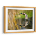 Vuelo Mallard Iii - Tyler Stockton | Cuadro decorativo de Canvas Lab