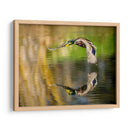 Vuelo Mallard Iii - Tyler Stockton | Cuadro decorativo de Canvas Lab