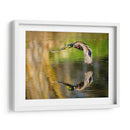 Vuelo Mallard Iii - Tyler Stockton | Cuadro decorativo de Canvas Lab