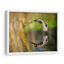 Vuelo Mallard Iii - Tyler Stockton | Cuadro decorativo de Canvas Lab