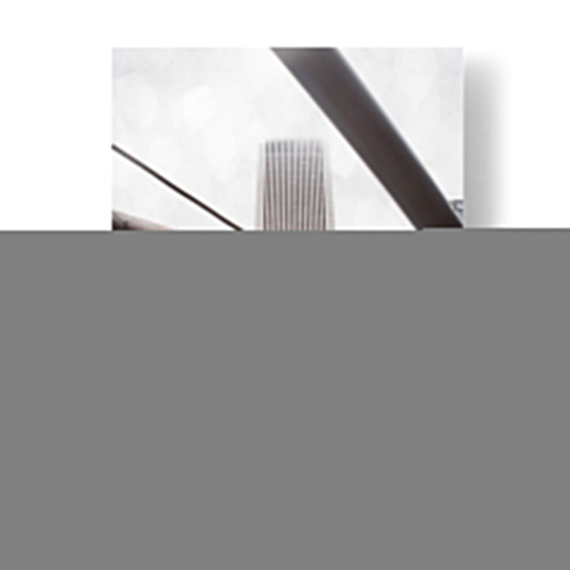 Chicago Monotone Iii - Sonja Quintero | Cuadro decorativo de Canvas Lab