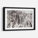 Mezcla De Cebra - Irena Orlov | Cuadro decorativo de Canvas Lab