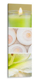 Facetas De La Primavera Ii - Irena Orlov | Cuadro decorativo de Canvas Lab