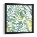 Frond Waltz I - Grace Popp | Cuadro decorativo de Canvas Lab