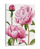Peonías De Winsome I - Grace Popp | Cuadro decorativo de Canvas Lab