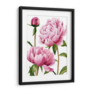 Peonías De Winsome I - Grace Popp | Cuadro decorativo de Canvas Lab