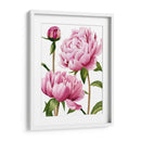 Peonías De Winsome I - Grace Popp | Cuadro decorativo de Canvas Lab