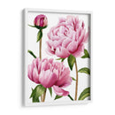 Peonías De Winsome I - Grace Popp | Cuadro decorativo de Canvas Lab