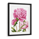 Peonies Winsome Ii - Grace Popp | Cuadro decorativo de Canvas Lab
