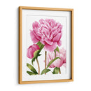 Peonies Winsome Ii - Grace Popp | Cuadro decorativo de Canvas Lab