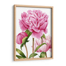 Peonies Winsome Ii - Grace Popp | Cuadro decorativo de Canvas Lab