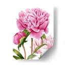 Peonies Winsome Ii - Grace Popp | Cuadro decorativo de Canvas Lab