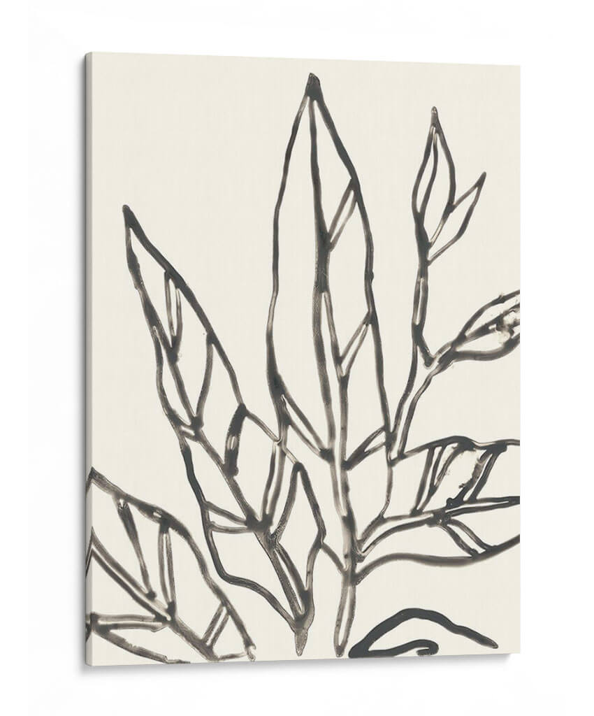 Contorno Tropical Ii - June Erica Vess | Cuadro decorativo de Canvas Lab