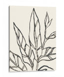 Contorno Tropical Ii - June Erica Vess | Cuadro decorativo de Canvas Lab