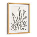 Contorno Tropical Ii - June Erica Vess | Cuadro decorativo de Canvas Lab