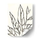 Contorno Tropical Ii - June Erica Vess | Cuadro decorativo de Canvas Lab