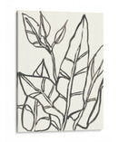 Contorno Tropical Iii - June Erica Vess | Cuadro decorativo de Canvas Lab