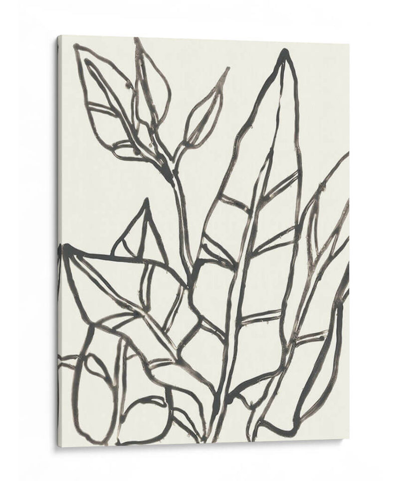 Contorno Tropical Iii - June Erica Vess | Cuadro decorativo de Canvas Lab