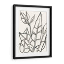 Contorno Tropical Iii - June Erica Vess | Cuadro decorativo de Canvas Lab