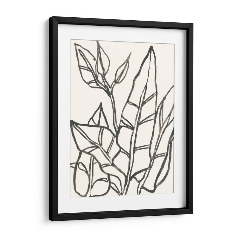 Contorno Tropical Iii - June Erica Vess | Cuadro decorativo de Canvas Lab