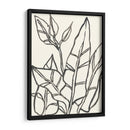 Contorno Tropical Iii - June Erica Vess | Cuadro decorativo de Canvas Lab