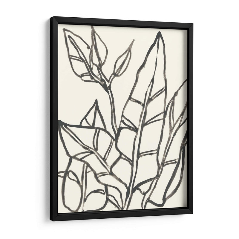 Contorno Tropical Iii - June Erica Vess | Cuadro decorativo de Canvas Lab