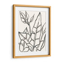 Contorno Tropical Iii - June Erica Vess | Cuadro decorativo de Canvas Lab