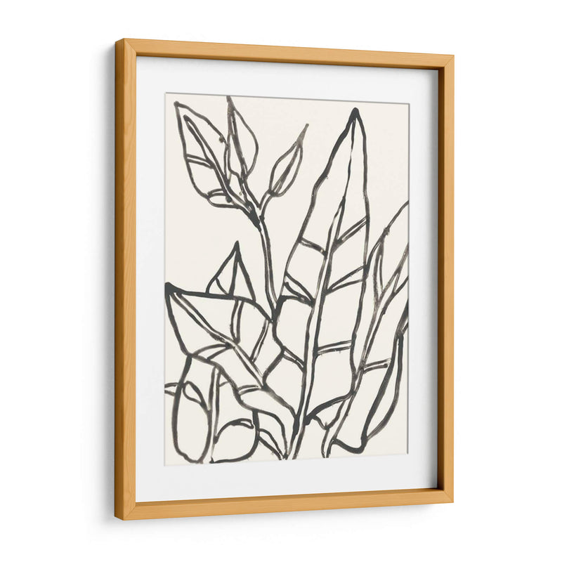 Contorno Tropical Iii - June Erica Vess | Cuadro decorativo de Canvas Lab