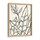 Contorno Tropical Iii - June Erica Vess | Cuadro decorativo de Canvas Lab