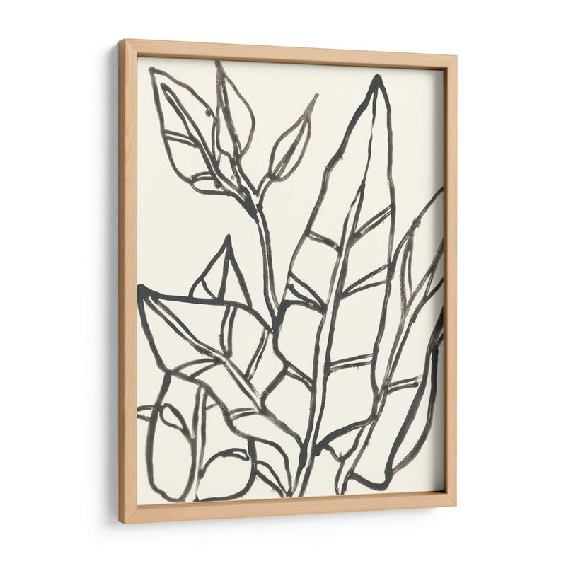 Contorno Tropical Iii - June Erica Vess | Cuadro decorativo de Canvas Lab