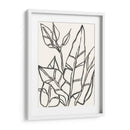 Contorno Tropical Iii - June Erica Vess | Cuadro decorativo de Canvas Lab