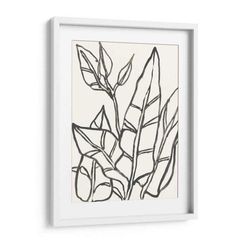 Contorno Tropical Iii - June Erica Vess | Cuadro decorativo de Canvas Lab