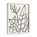 Contorno Tropical Iii - June Erica Vess | Cuadro decorativo de Canvas Lab